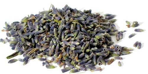 (image for) 1 Lb Lavender Flowers whole