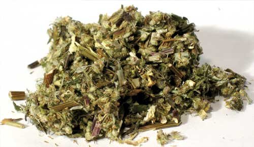 (image for) 1 Lb Mugwort cut