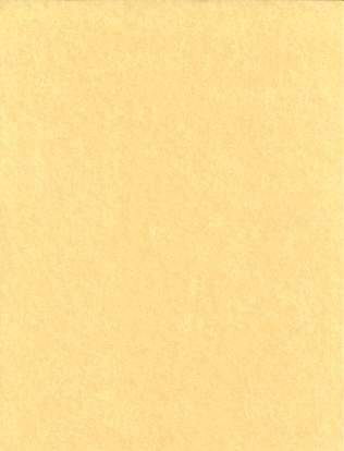 (image for) 25pk 8 1/2"x11" light parchment