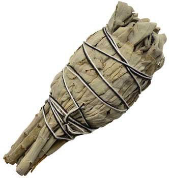 (image for) California White Sage smudge 4" - Click Image to Close