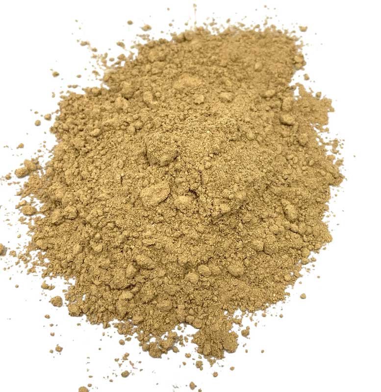 (image for) Gentian Root powder 1oz - Click Image to Close