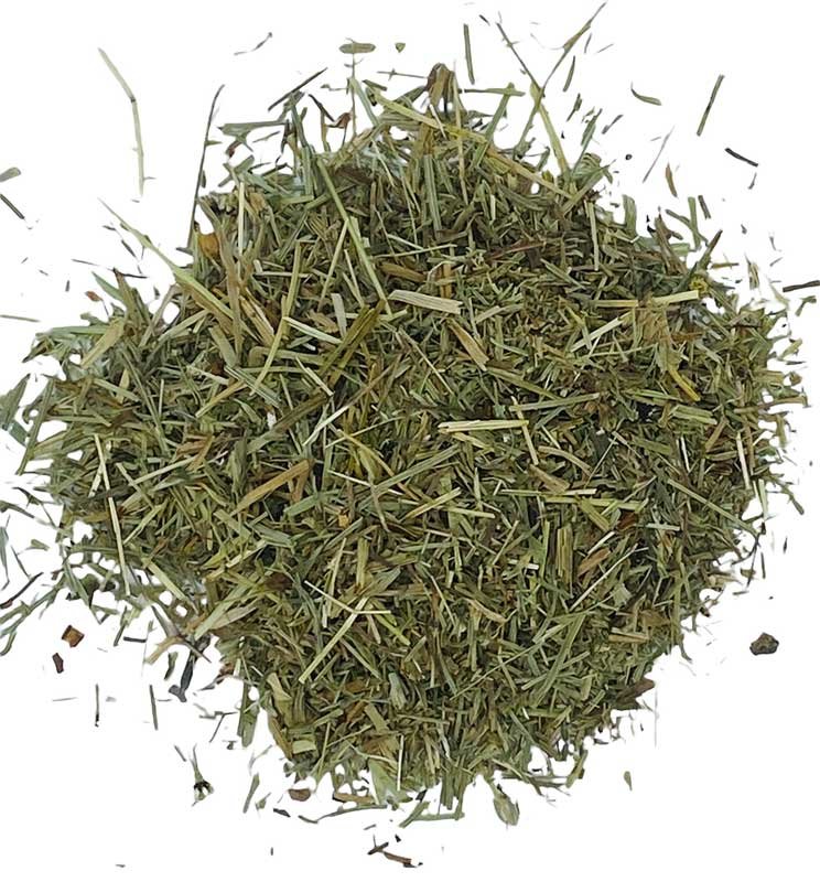 (image for) Shavegrass cut 2oz wild crafted (horsetail) - Click Image to Close